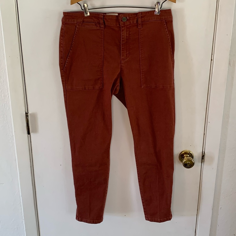 Sanctuary Standard Surplus terracotta skinny jeans with zipper at ankles